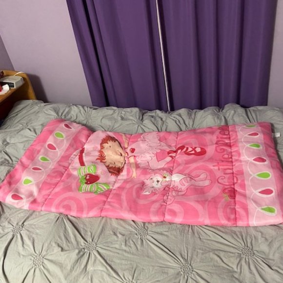 Strawberry Shortcake with Custard the Cat Pink Sleeping Bag Vintage - Picture 4 of 10